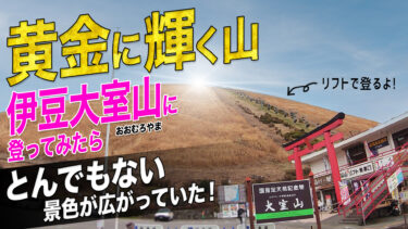 黄金に輝く山・伊豆大室山に登ってみたらとんでもない景色が広がっていた！