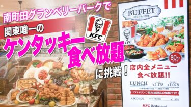 南町田グランベリーパークで関東唯一のケンタッキー食べ放題に挑戦！